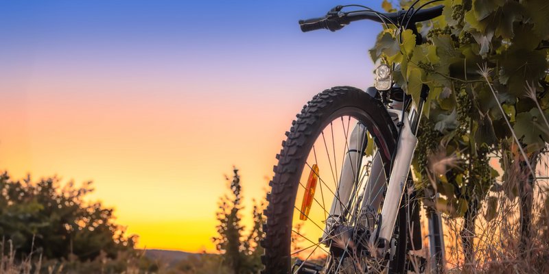 Fahrrad steht neben einer Weinbergszeile bei Sonnenuntergang; farbenprächtiger Himmel vermittelt eine stimmungsvolle Atmosphäre.